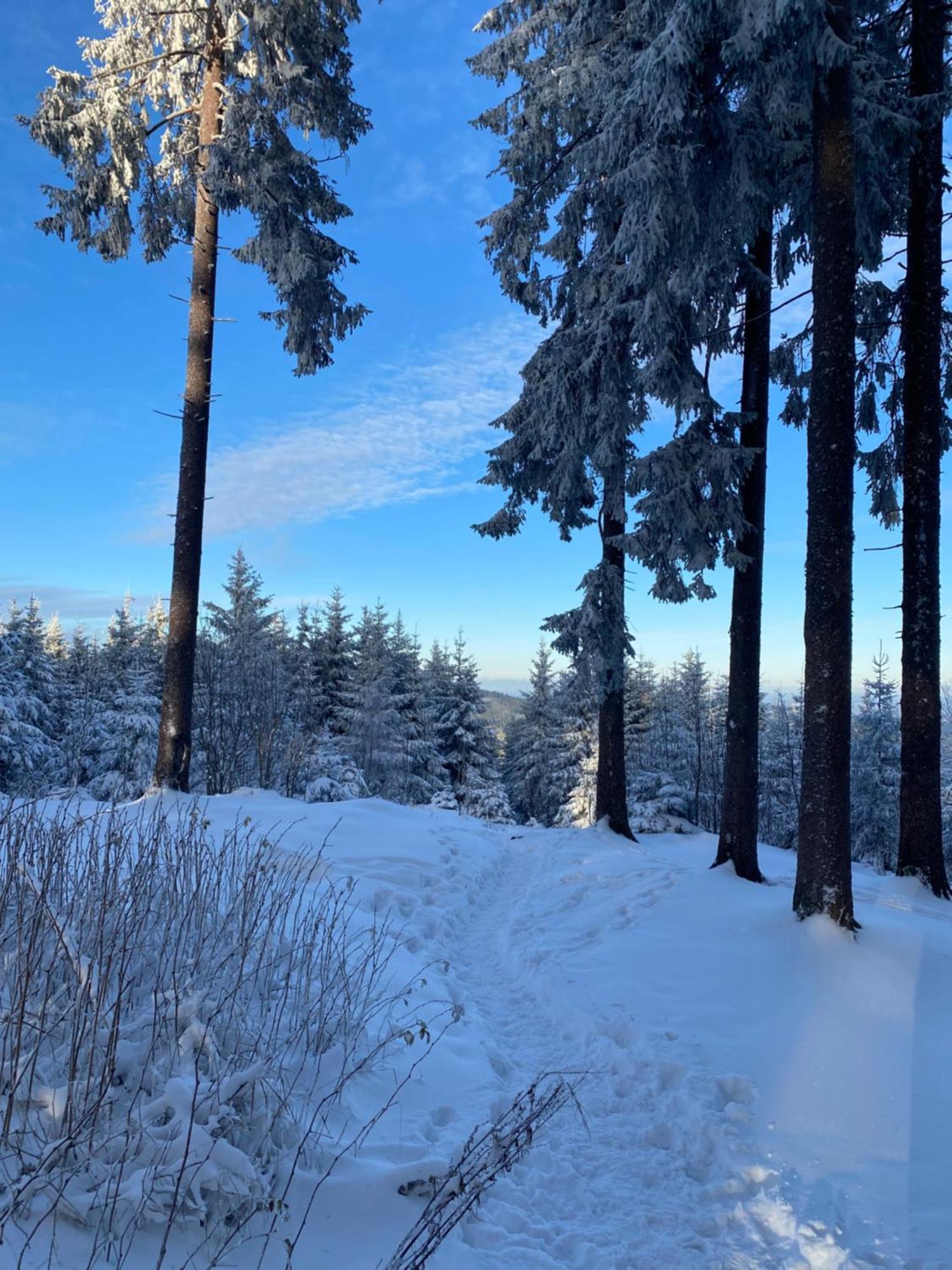 Chalet Belveder Horska Chata Железна-Руда Экстерьер фото
